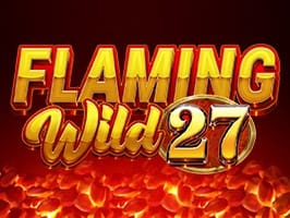 Flaming Wild 27 game cover