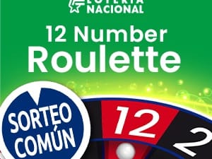 Global 12 Number Roulette game cover